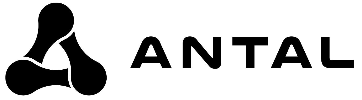 Antal shoes