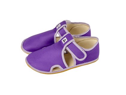 Antal Rascal Basic Purple front page