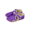 Antal Rascal Basic Purple front page