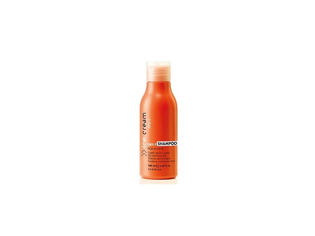 Inebrya Dry-T Shampoo 100ml
