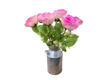 mydlovy kvet bandaska