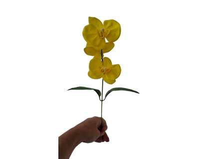 mydlova kytice orchidea zluta1