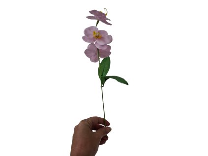 mydlova kytice orchidea fialova2