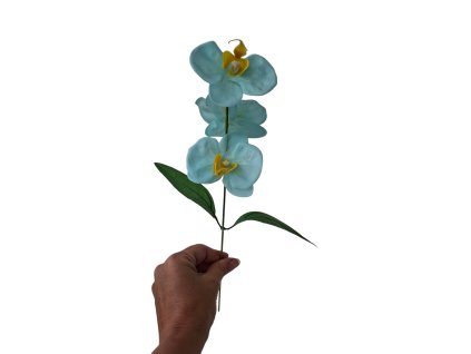 mydlova kytice orchidea modra1