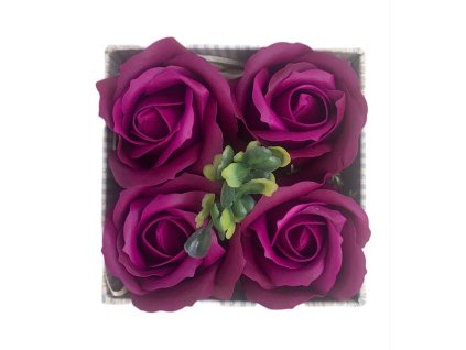 box 4ks fialova