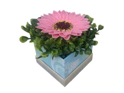 minibox slunecnice ruzova