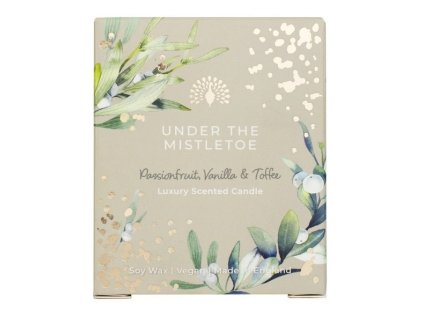 the english soap company candle under the mistletoe 170g