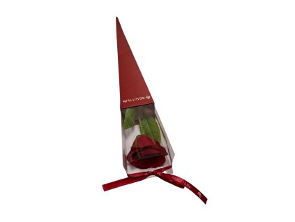 mydlovy kvet valentyn red3