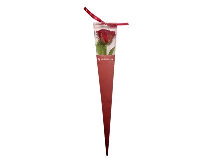 mydlovy kvet valentyn red2