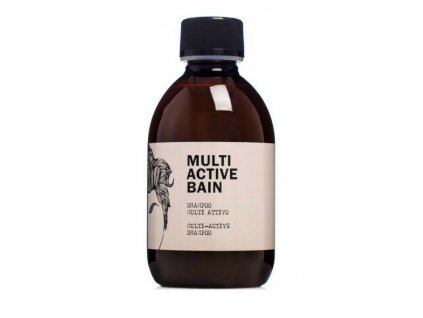 dear beard multi active bain shampoo