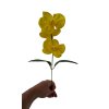 mydlova kytice orchidea zluta1