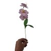 mydlova kytice orchidea fialova2