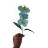 mydlova kytice orchidea modra1