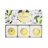 the english soap company white jasmine 3x100g