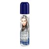 venita 1 day color spray silver shine 50ml
