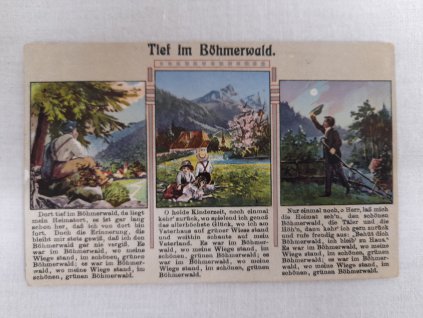 Pohled, Šumava, Tief im Böhmerwald