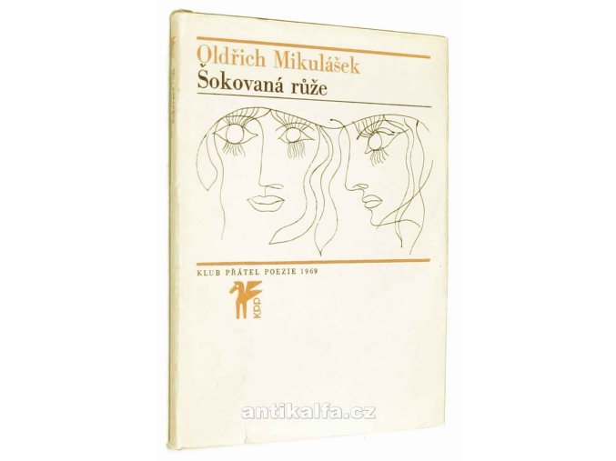 Šokovaná růže