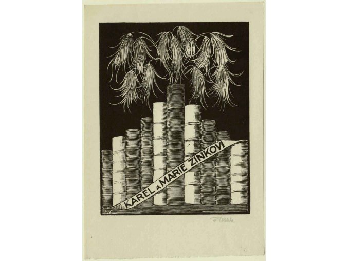 Karel a Marie Zinkovi