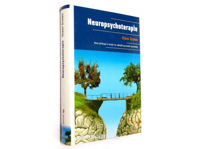 Neuropsychoterapie