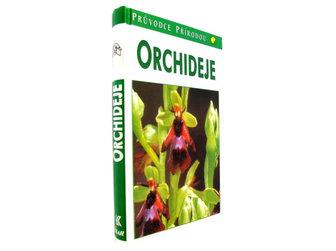 41 613 orchideje 2