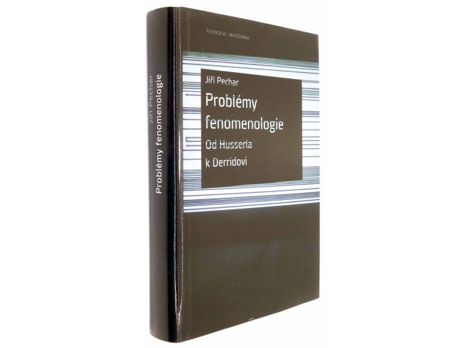 Problémy fenomenologie