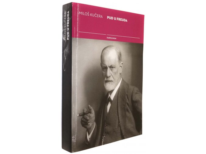 Pud u Freuda