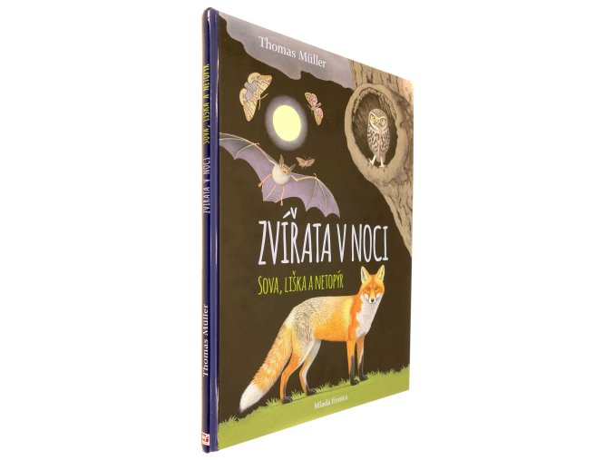 Zvířata v noci