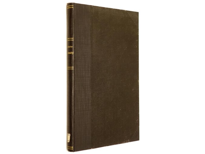 Lid český s hlediska prostonárodně-náboženského