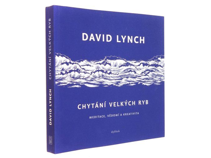 Chytání velkých ryb