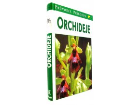 41 613 orchideje 2