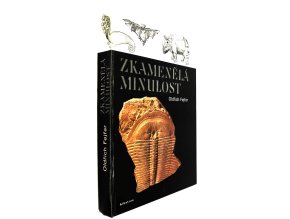 42 352 zkamenela minulost