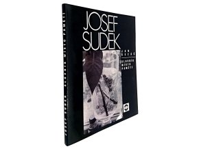 44 252 josef sudek 4