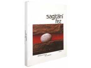 Sagitální řez
