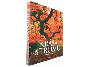 Krása stromů