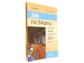 Jak na šikanu