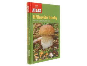 Hřibovité houby
