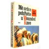 Mé srdce pohřběte u Wounded Knee