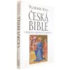 Česká bible v dějinách národního písemnictví