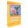 Daseinsanalýza