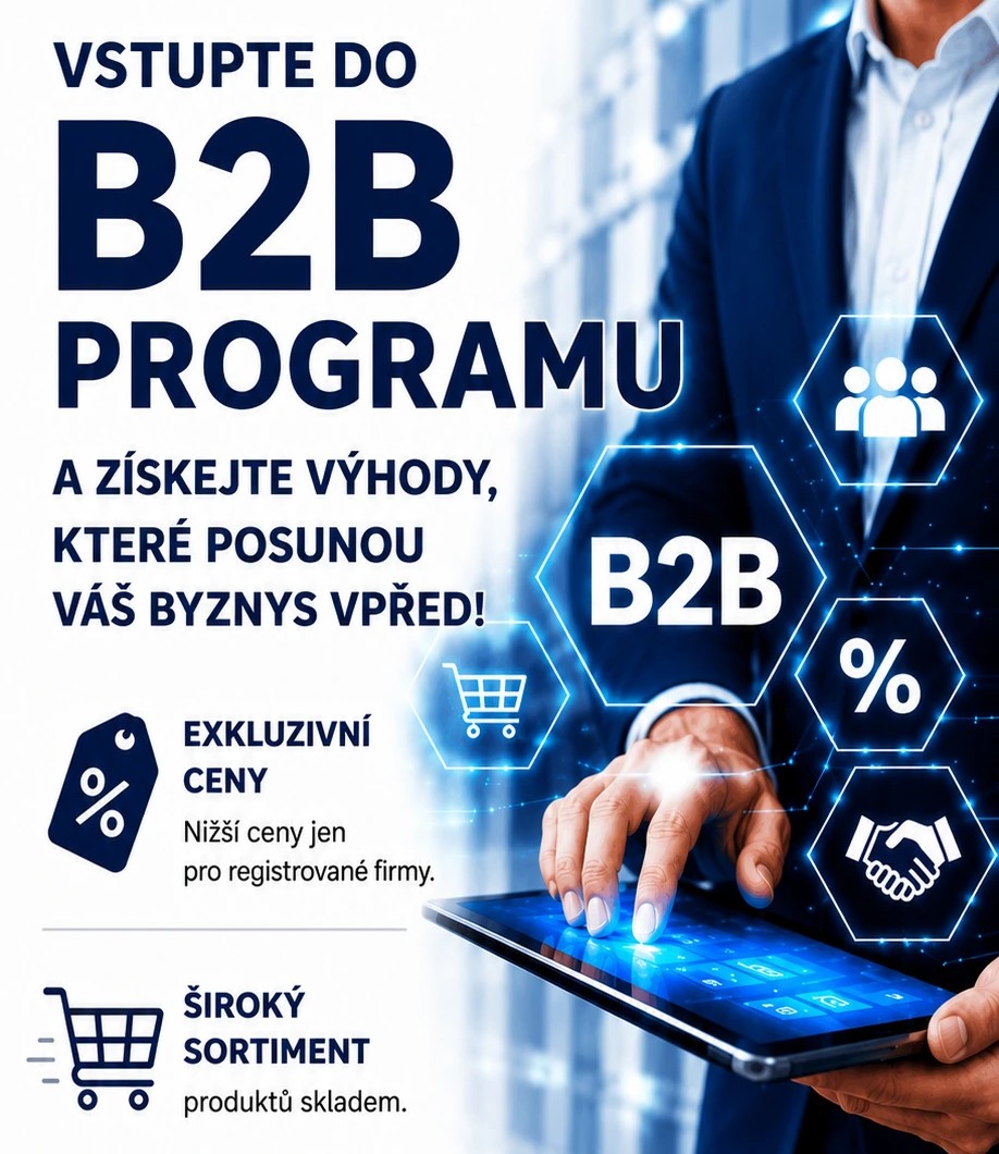 B2B