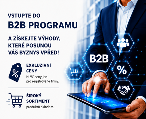 B2B