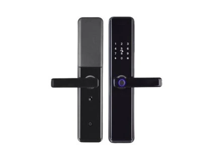 2458 picture description