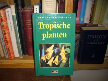 Tropische planten - Holandsky