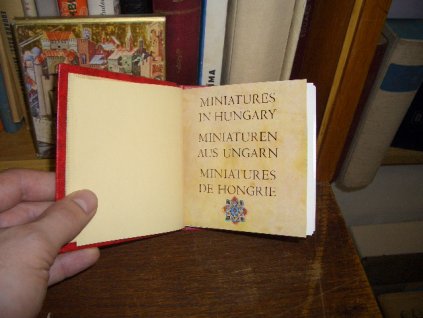 Miniatures in Hungary
