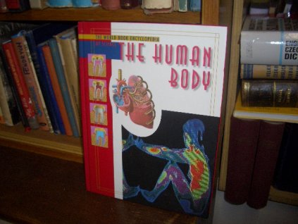 The Human Body