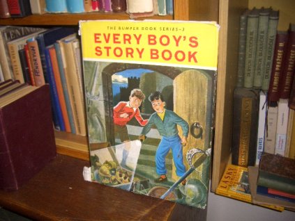 Every Boys Story Book