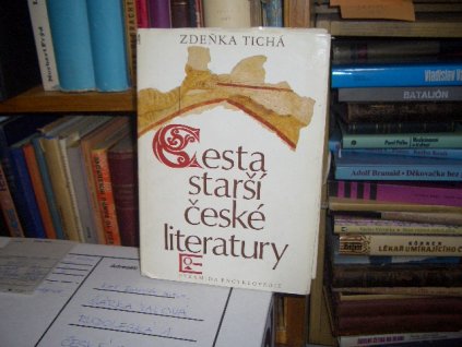 Cesta starší české literatury