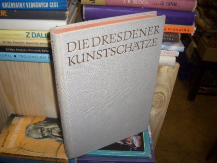 Die Dresdener Kunstschätze