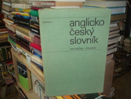 Anglicko-český slovník