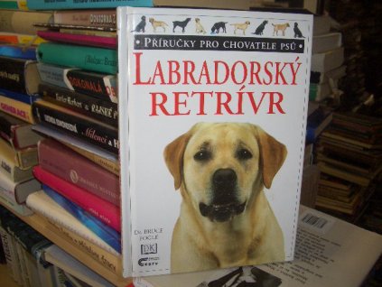 Labradorský retrívr